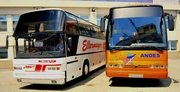 Пассажирские перевозки автобусами до 72 мест Одесса
